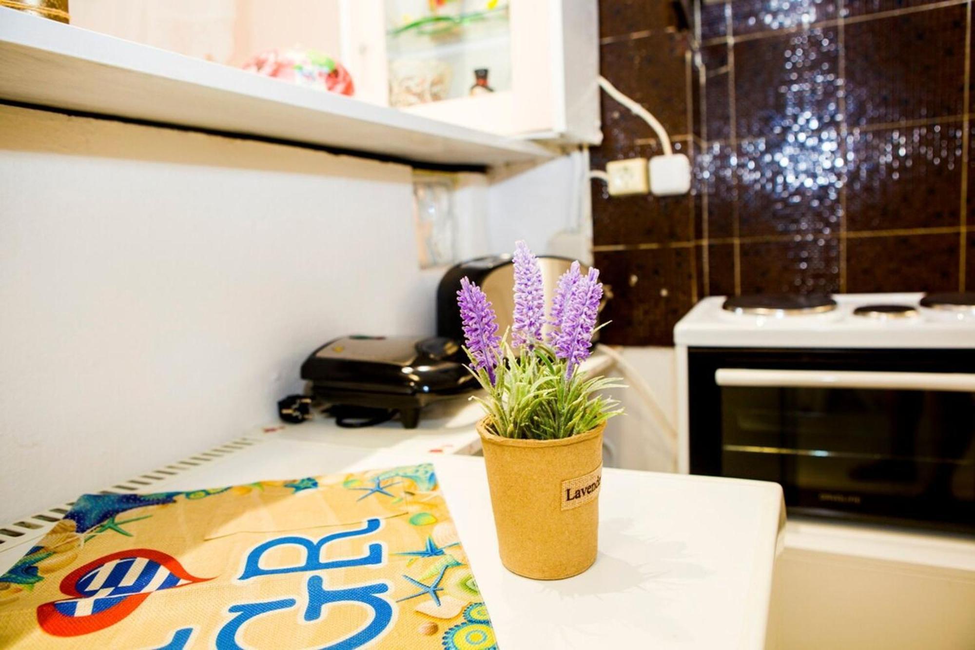 Colour With Free Bikes Apartment